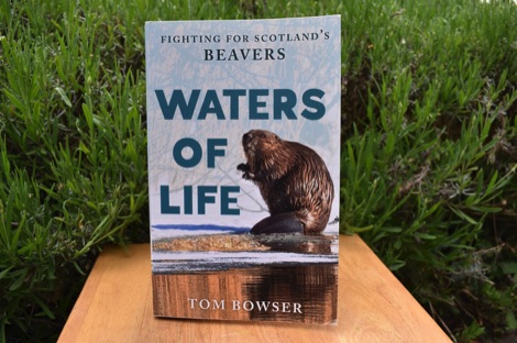 Tom Bowser Waters of Life